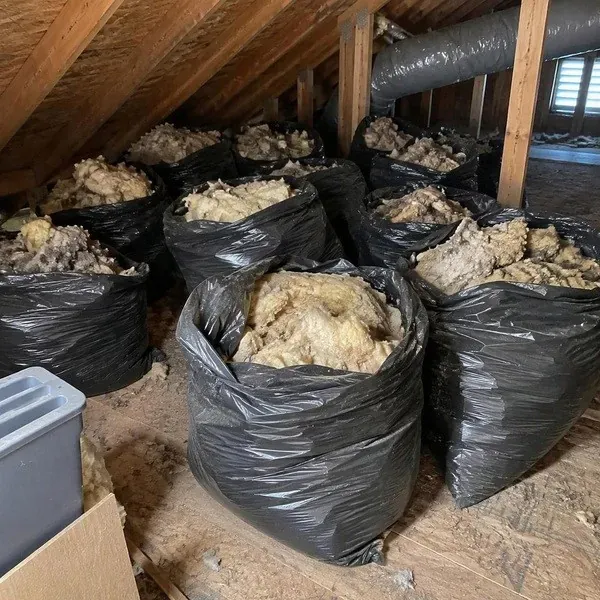 Old attic insulation bagged for disposal after vacuum removal