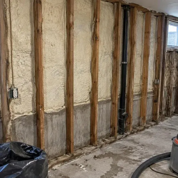 Cleaned wall studs after mouldy drywall was cut out and removed